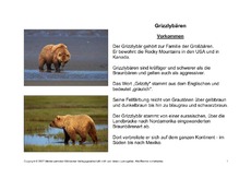 Fehlerlesen-Grizzlybär-Lesetext-1-7.pdf